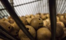 Bankoplader - En dybdegående præsentation og historisk gennemgang